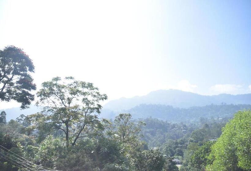 Pension Mountain Top Guest