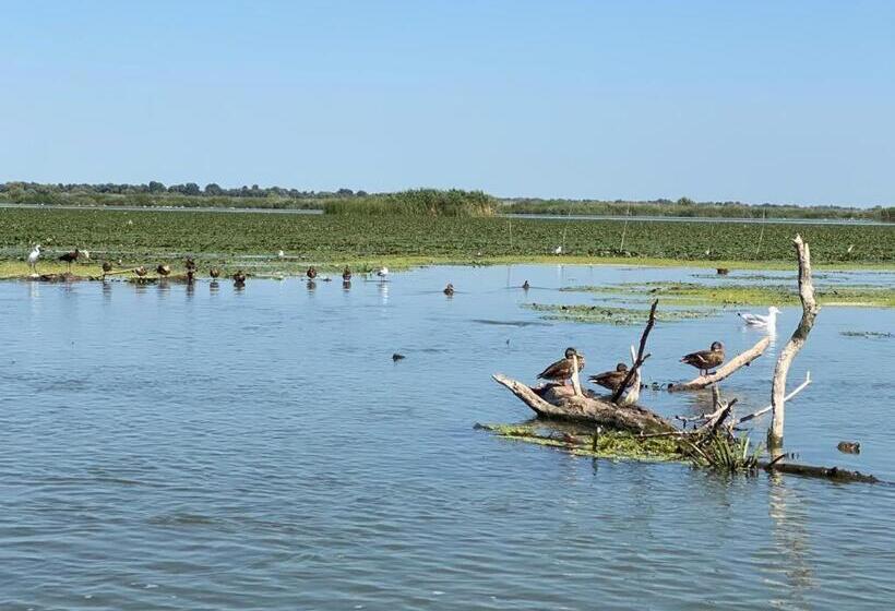 פנסיון Paradiso Resort