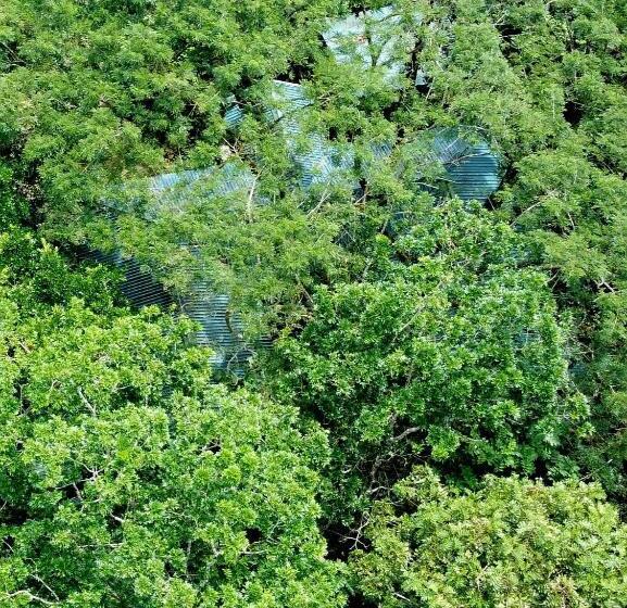 بنسيون Perla Verde, Hostel Sarapiquí A Lodging In The Middle Of Nature