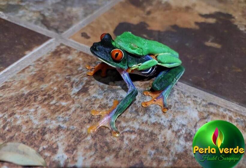 بنسيون Perla Verde, Hostel Sarapiquí A Lodging In The Middle Of Nature