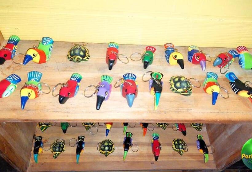 بنسيون Perla Verde, Hostel Sarapiquí A Lodging In The Middle Of Nature