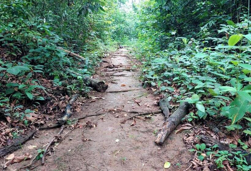 بنسيون Perla Verde, Hostel Sarapiquí A Lodging In The Middle Of Nature