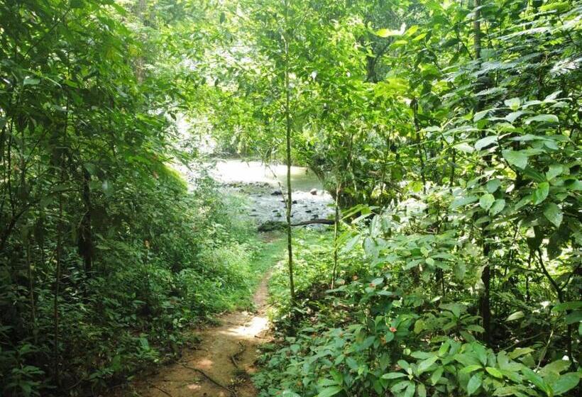 بنسيون Perla Verde, Hostel Sarapiquí A Lodging In The Middle Of Nature