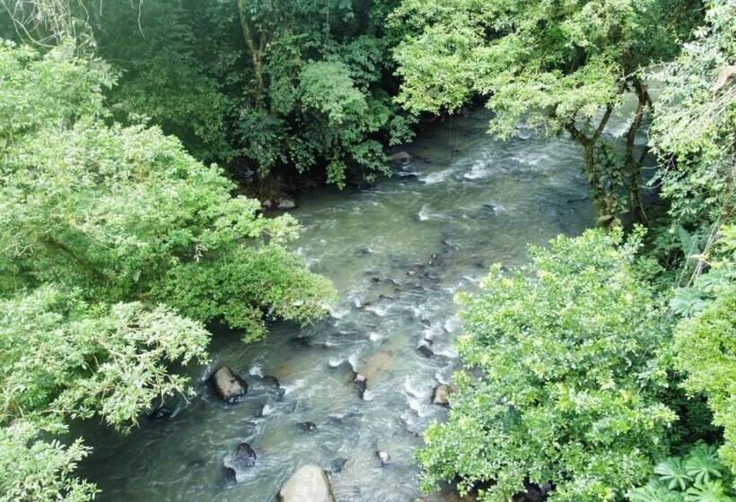 بنسيون Perla Verde, Hostel Sarapiquí A Lodging In The Middle Of Nature