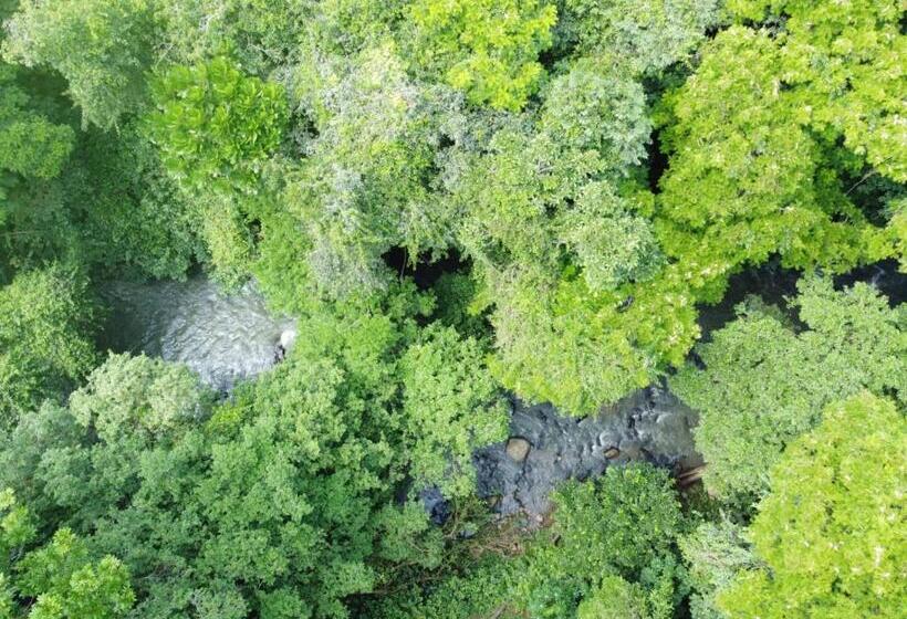 بنسيون Perla Verde, Hostel Sarapiquí A Lodging In The Middle Of Nature