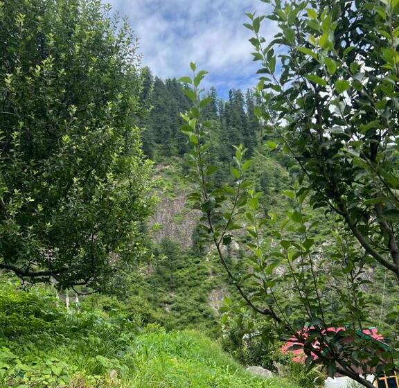 膳宿费 Shivadelic Cafe And Stay