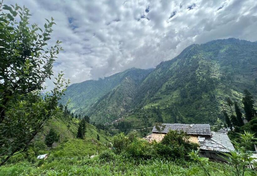 膳宿费 Shivadelic Cafe And Stay