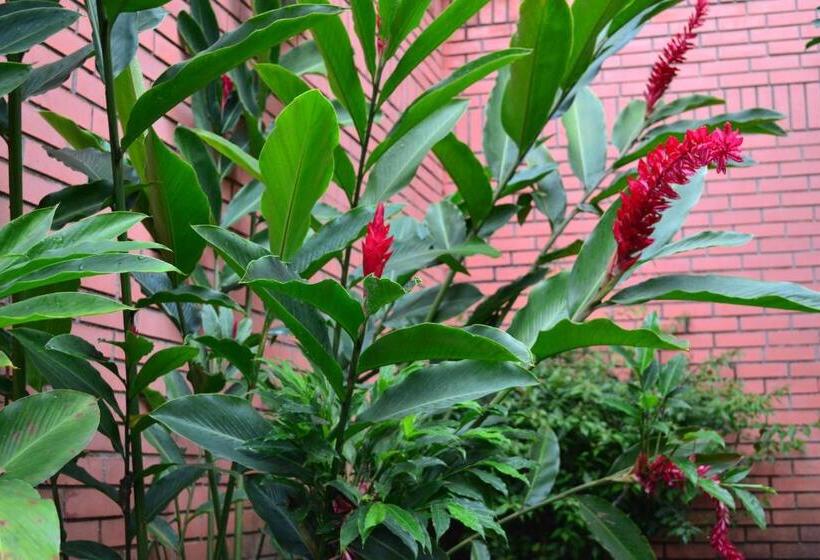 ペンション Sun House