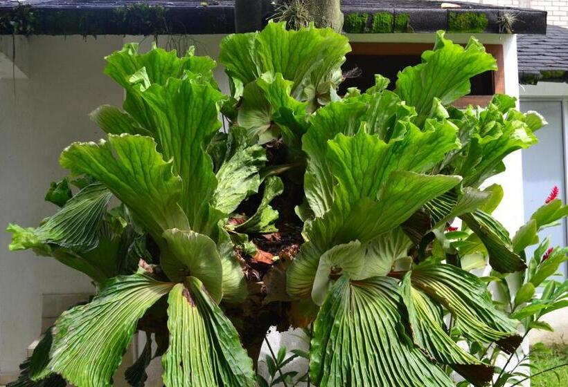 ペンション Sun House