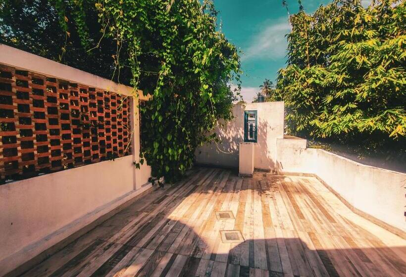 膳宿费 The Yacht Villa Near Colombo International Airport