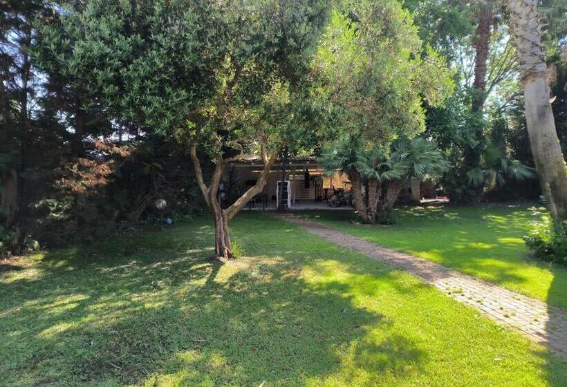 بنسيون Villa Alessandria