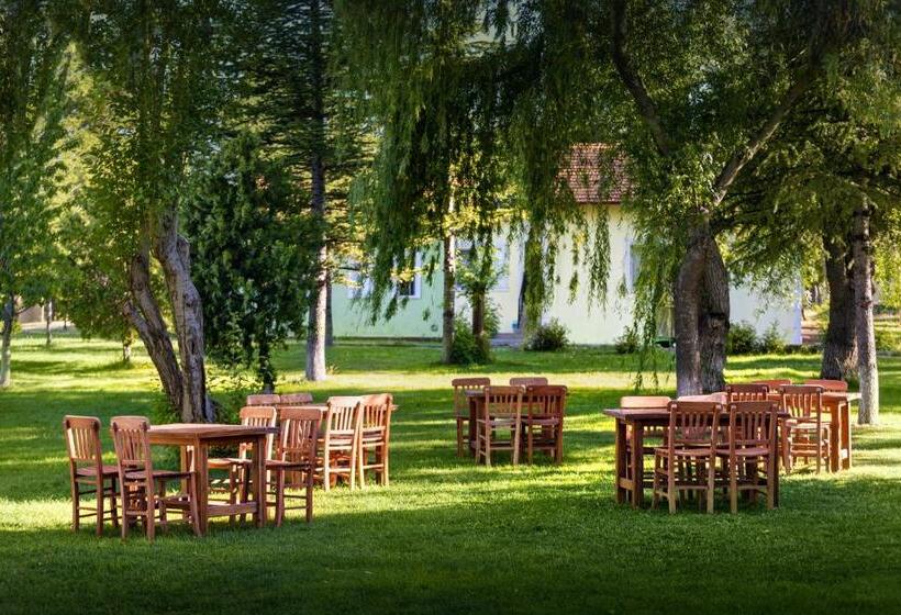 渡假胜地  Ağaoğlu My Termal