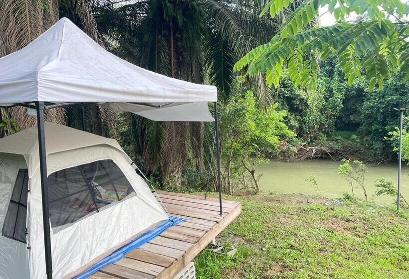 渡假胜地  Amornkeeree Khao Sok Camping