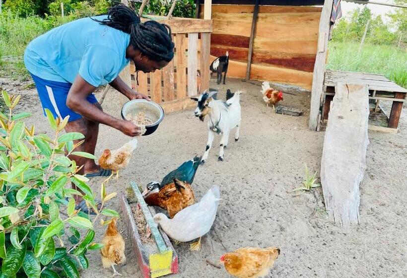 استراحتگاه Land Of Promise