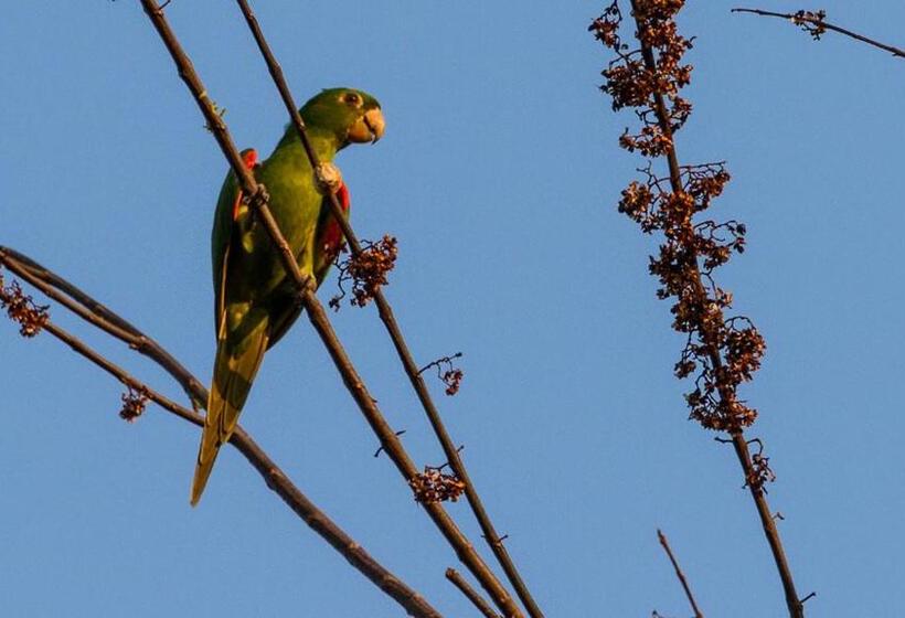 استراحتگاه Land Of Promise