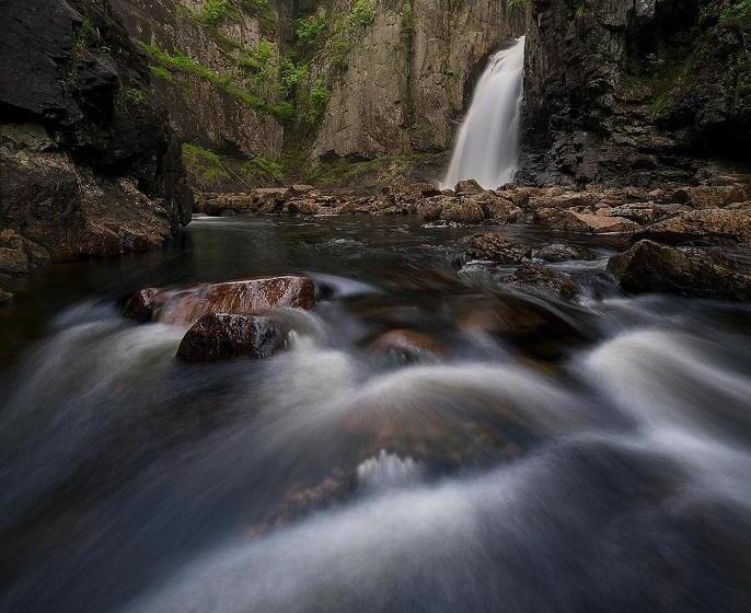 Skogsro Forest Hostel