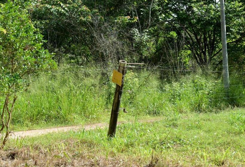 Spice Village Hotel & Restaurant