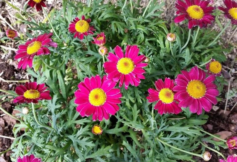 צימר Antico Casale Di Vermontana