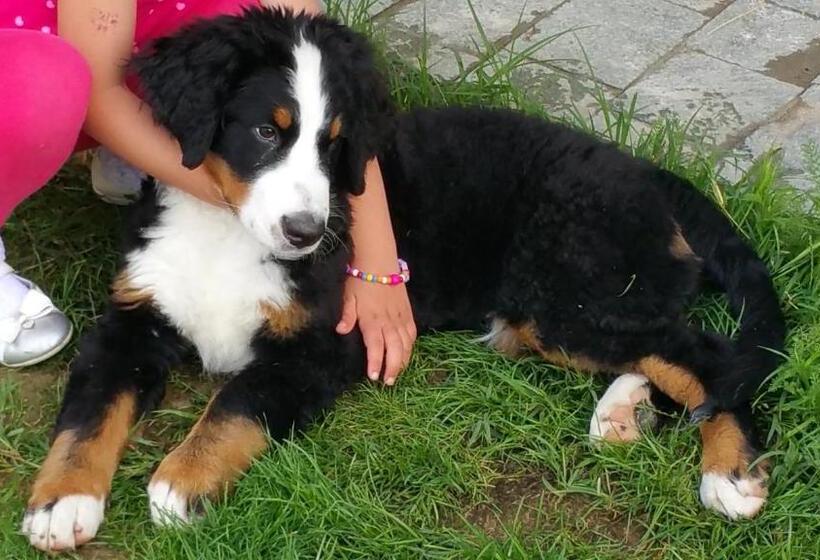 Bed And Breakfast Giaveno