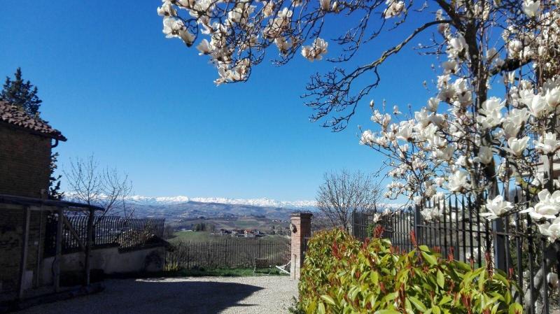 Bed and Breakfast Greeneria