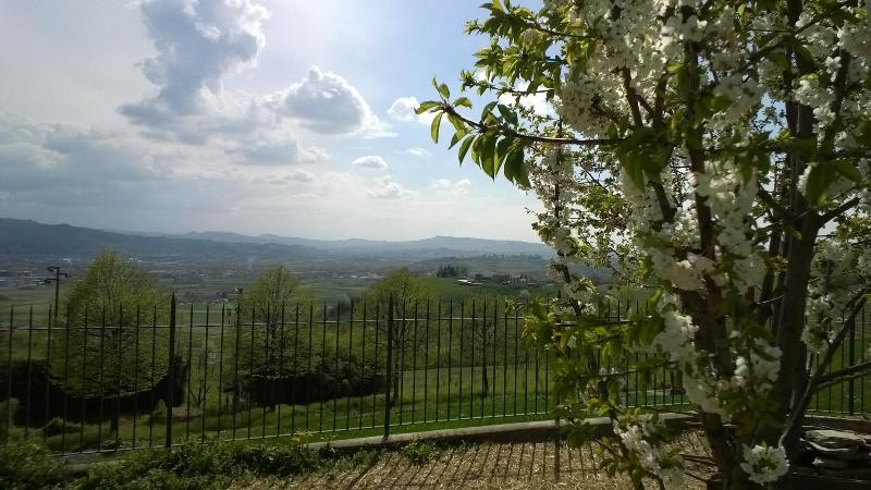 Bed and Breakfast Greeneria