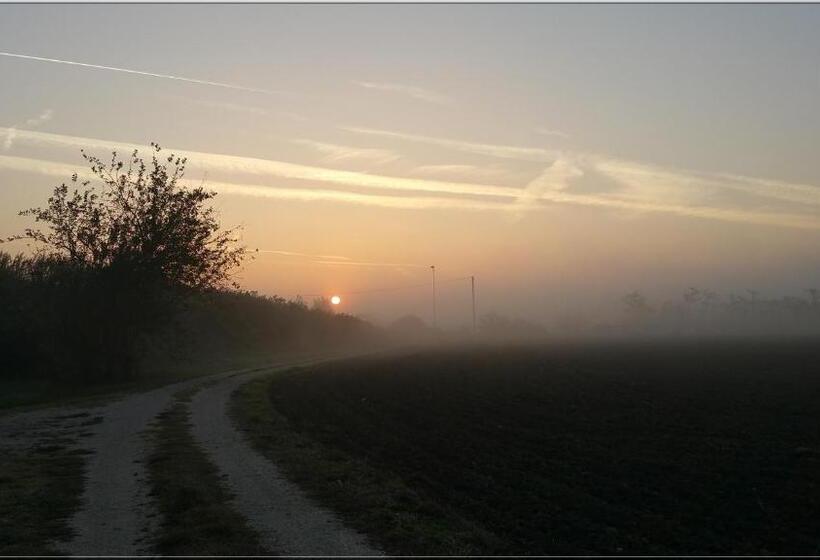 민박 La Casa Delle Rondini