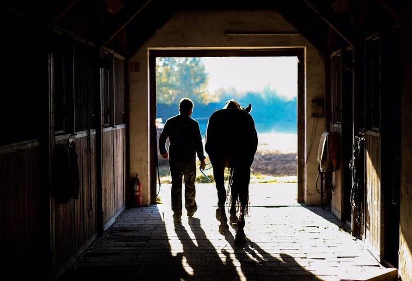 Erdőspuszta Club Hotel Fenyves