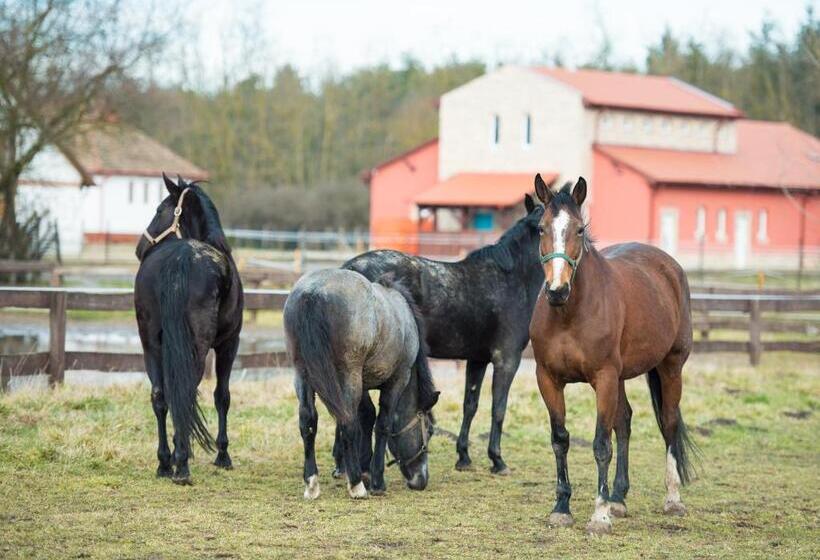 Erdőspuszta Club Hotel Fenyves