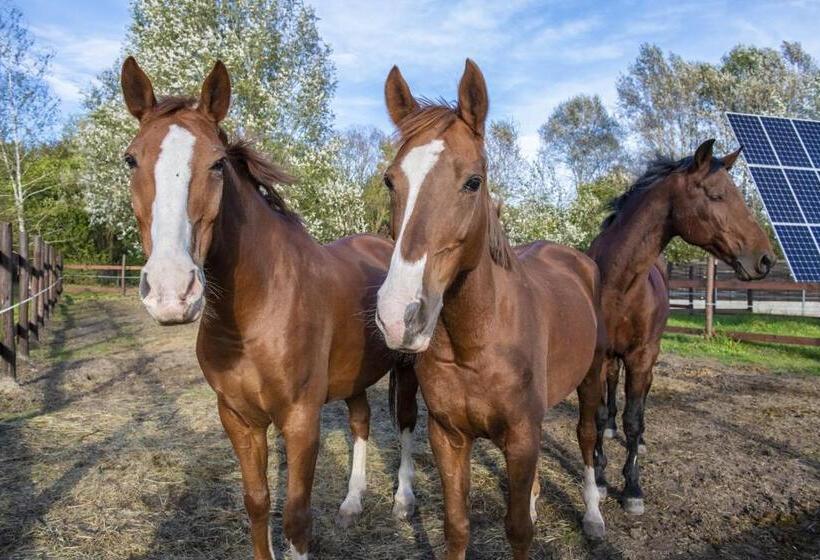 Erdőspuszta Club Hotel Fenyves