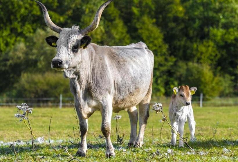 Erdőspuszta Club Hotel Fenyves