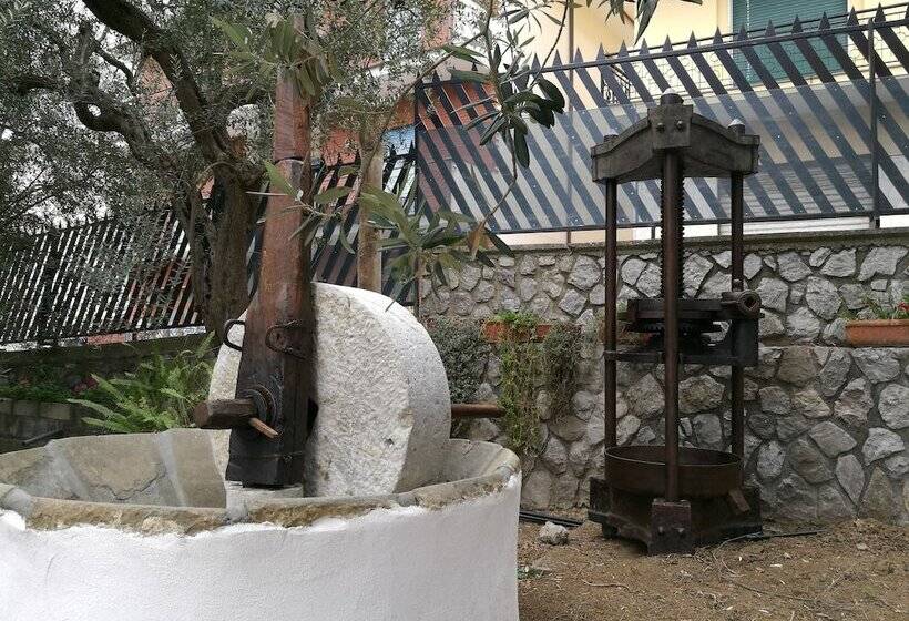 בית מלון כפרי Oleum