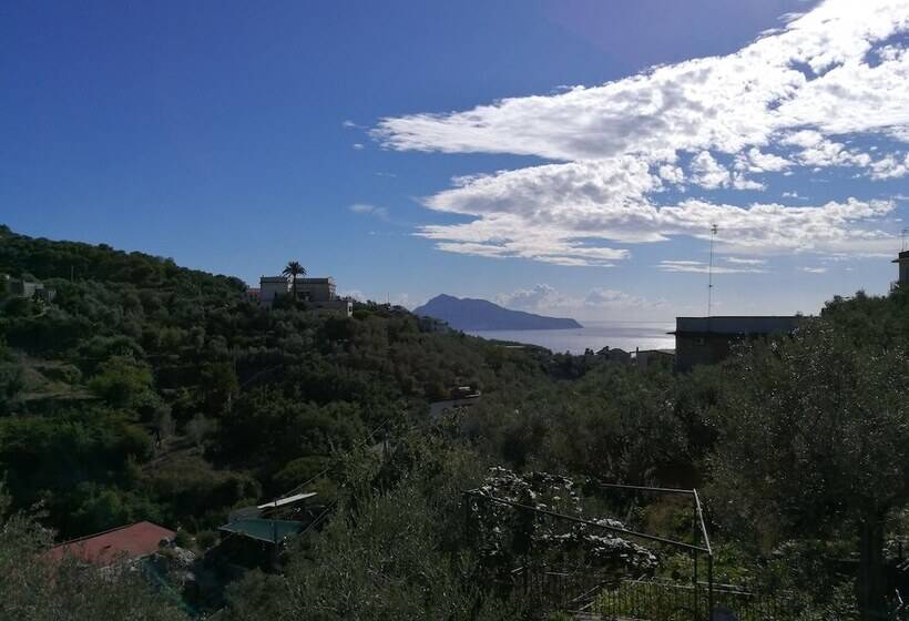 בית מלון כפרי Oleum