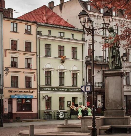 هتل Apartamenty Sowa Toruń