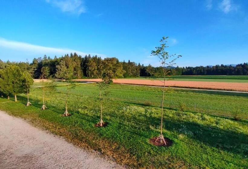 هتل Bed & Breakfast Na Poljani