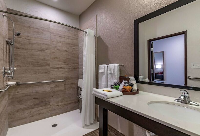 酒店 Best Western Plus Big Lake Inn