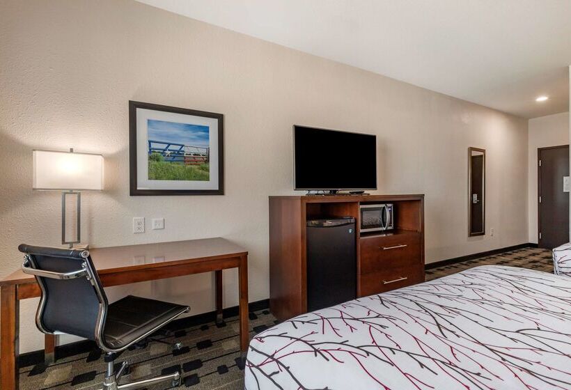 酒店 Best Western Plus Big Lake Inn