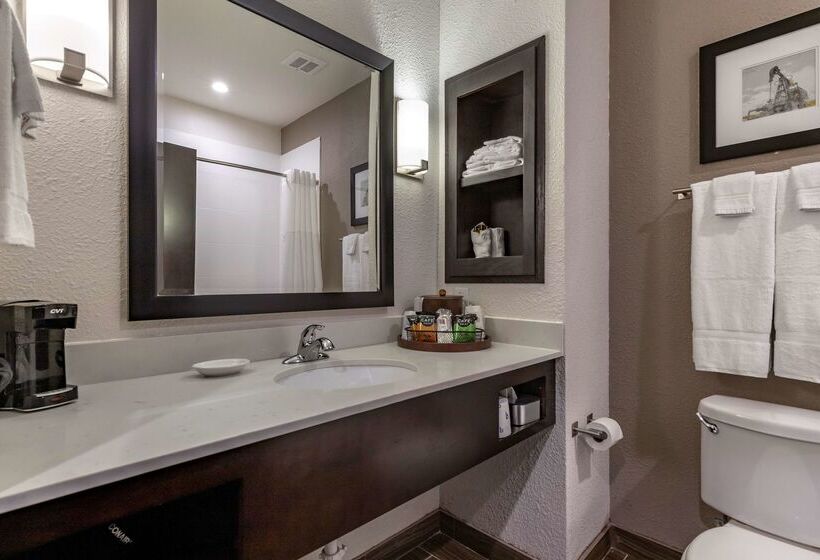 فندق Best Western Plus Big Lake Inn