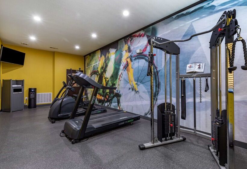 酒店 Best Western Plus Big Lake Inn