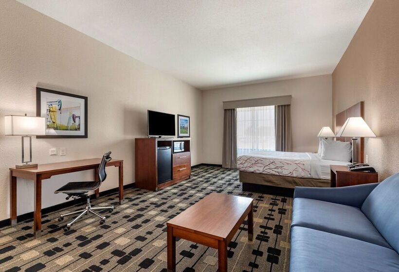 호텔 Best Western Plus Big Lake Inn