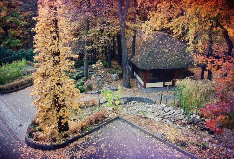 فندق Binkowski Dworek