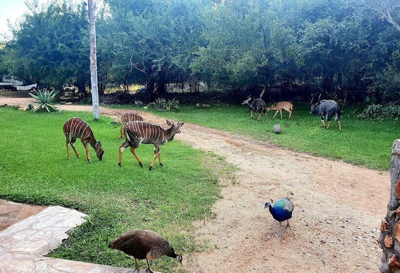 酒店 Blyde River Wilderness Lodge