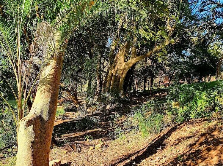 酒店 Blyde River Wilderness Lodge