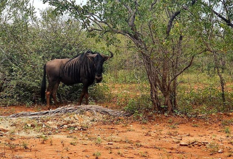 酒店 Blyde River Wilderness Lodge