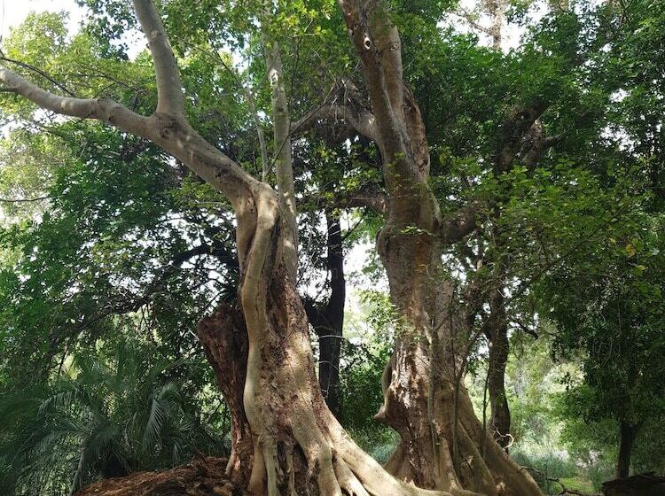 酒店 Blyde River Wilderness Lodge