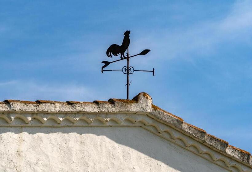 Отель Can Rosich