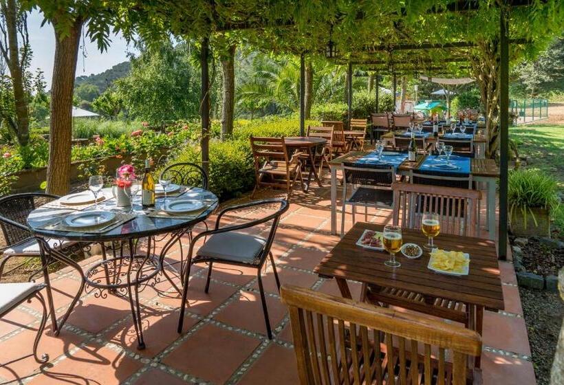 Отель Can Rosich