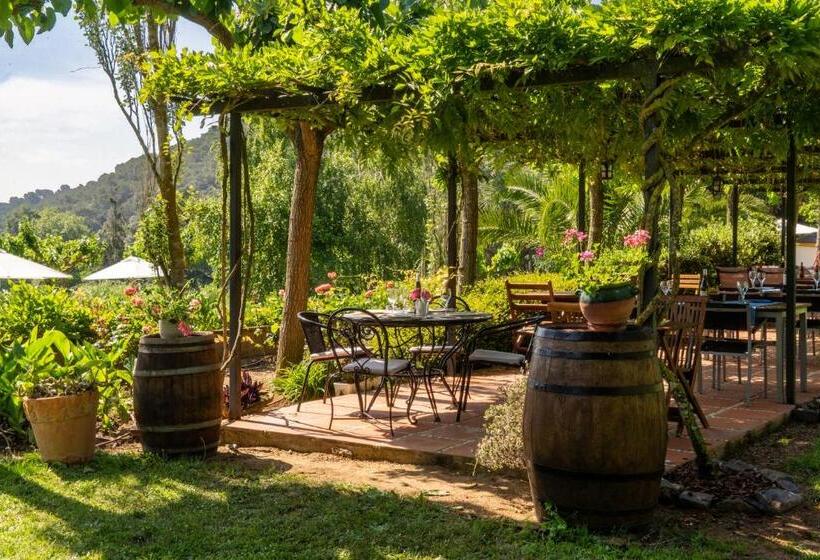 Отель Can Rosich