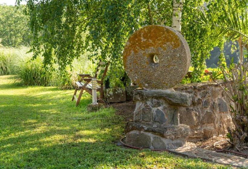 Отель Can Rosich