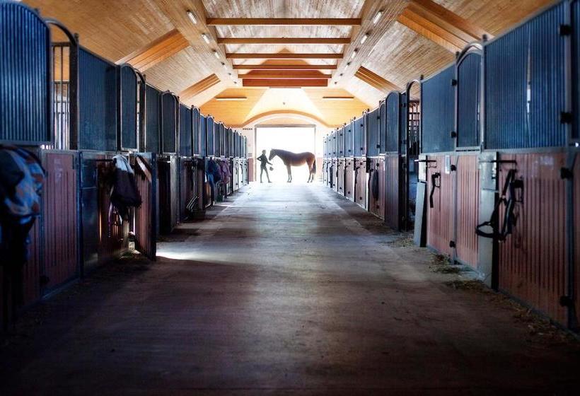 בית מלון כפרי Gostar