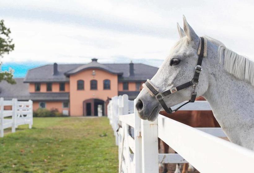 בית מלון כפרי Gostar